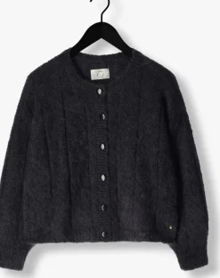 DES PETITS HAUTS donkergrijze vest chouette donkergrijs Best