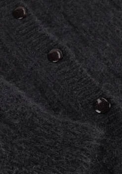 DES PETITS HAUTS donkergrijze vest chouette donkergrijs Best