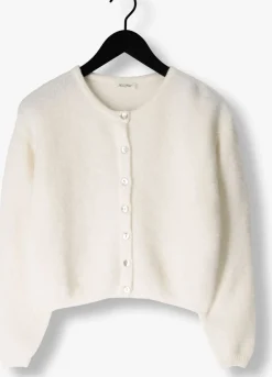 AMERICAN VINTAGE vest vitow cardigan gebroken wit Best