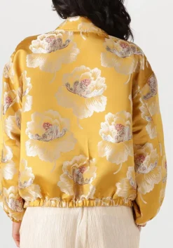 AMAYA AMSTERDAM en jack fanny bomber goud Best