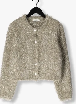 KNIT-TED en vest lynn cardigan goud New