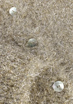 KNIT-TED en vest lynn cardigan goud New