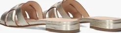 STEFANO LAURAN en slippers 24050 goud New