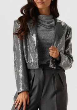 AAIKO grijze blazer mille sequins pes 356 grijs Sale