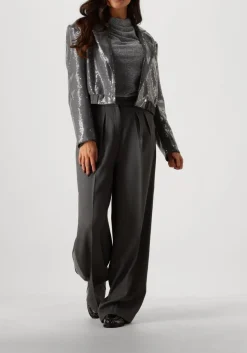 AAIKO grijze pantalon saba sequins pes 356 grijs Best