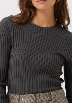 AAIKO grijze tops & t-shirts bente vis 300 grijs Best