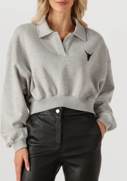 ALIX THE LABEL grijze sweater ladies knitted polo sweater grijs Outlet