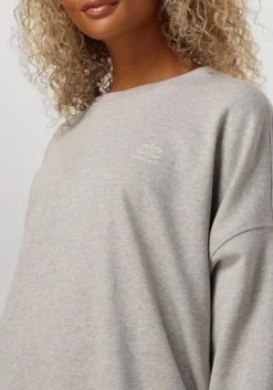 CO'COUTURE grijze mini jurk clean oversized sweat dress grijs Outlet