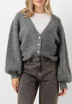 CO'COUTURE grijze vest corelie button knit grijs Hot