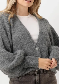 CO'COUTURE grijze vest corelie button knit grijs Hot