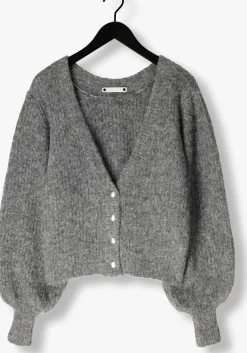 CO'COUTURE grijze vest corelie button knit grijs Hot