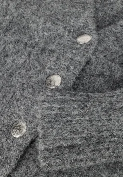 CO'COUTURE grijze vest corelie button knit grijs Hot