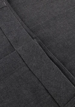 COPENHAGEN MUSE grijze wijde broek cmtailor-pants grijs Best