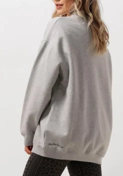 DEBLON SPORTS grijze sweater puck sweater grijs New