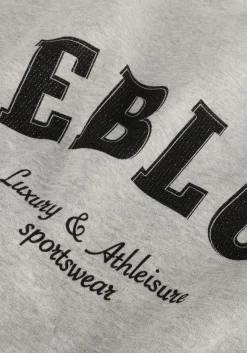 DEBLON SPORTS grijze sweater puck sweater grijs New