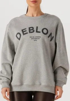 DEBLON SPORTS grijze trui cathy sweater grijs Best