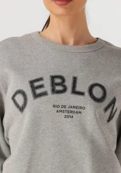 DEBLON SPORTS grijze trui cathy sweater grijs Best