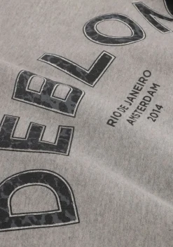 DEBLON SPORTS grijze trui cathy sweater grijs Best