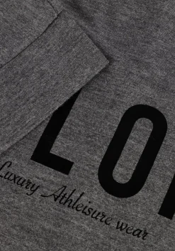 DEBLON SPORTS grijze t-shirt viola top short sleeve grijs Hot