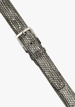 FLORIS VAN BOMMEL grijze riem cfm-10095 de belter grijs