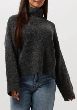 GESTUZ grijze coltrui alphagz rollneck grijs Online