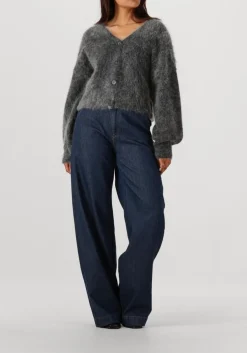 GESTUZ grijze vest gzdebbie cardigan grijs Online