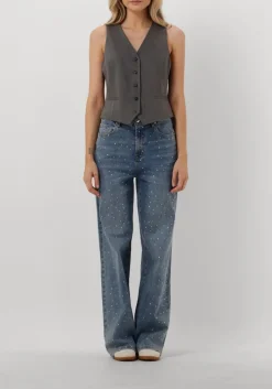 JANICE grijze gilet dave gilet grijs Sale