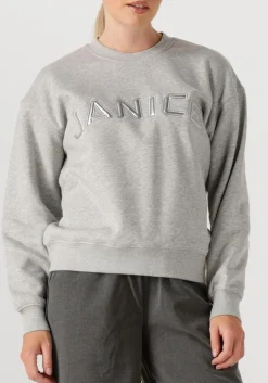 JANICE grijze sweater andy grijs Best
