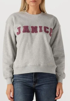 JANICE grijze sweater andy grijs Hot