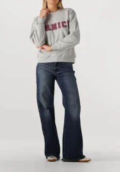 JANICE grijze sweater andy grijs Hot