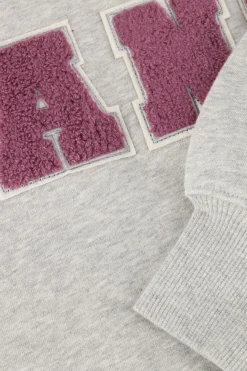 JANICE grijze sweater andy grijs Hot