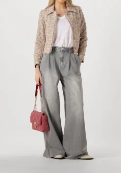 JANICE grijze wide jeans jeans wijde pijp stretch dollar grijs Outlet