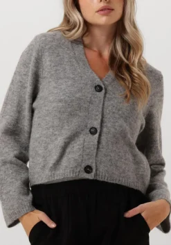 KNIT-TED grijze vest ariel grijs Outlet