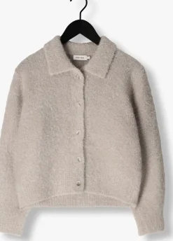 KNIT-TED grijze vest asa grijs Discount