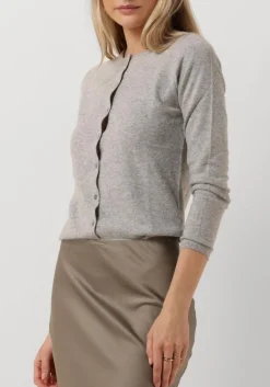 RESORT FINEST grijze vest lucca grijs Best