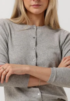 RESORT FINEST grijze vest lucca grijs Best