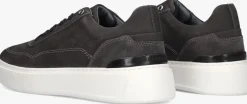 STEFANO LAURAN grijze lage sneakers star 001 grijs New