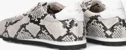 STEFANO LAURAN grijze lage sneakers 1slick100 grijs Best