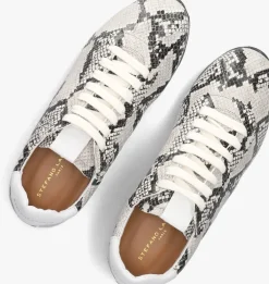 STEFANO LAURAN grijze lage sneakers 1slick100 grijs Best