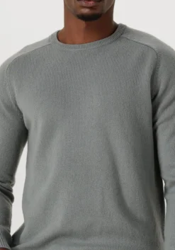 STEFANO LAURAN grijze trui crew l grijs Online