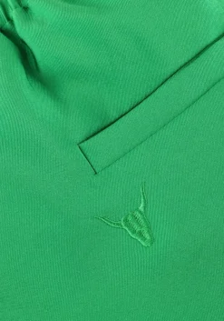 ALIX THE LABEL e korte broek ladies woven embellished satin shorts groen Hot