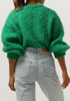 AMERICAN DREAMS e trui leonnie alpaca pullover groen Outlet