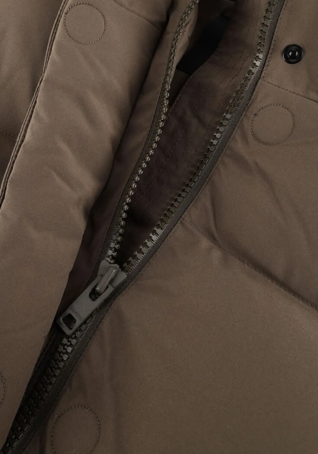 ELVINE e gewatteerde jas vesper groen