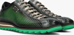 HARRIS e lage sneakers 2892 groen Best