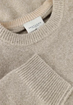 PROFUOMO e trui pullover crew neck groen Outlet