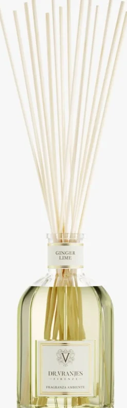 DR. VRANJES FIRENZE geurstokjes ginger lime diffuser 1250ml kleur n.v.t. Best