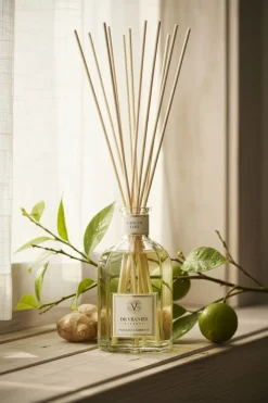 DR. VRANJES FIRENZE geurstokjes ginger lime diffuser 1250ml kleur n.v.t. Best