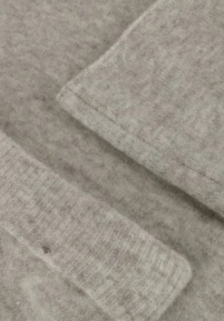 AIMEE THE LABEL lichtgrijze maxirok carlaa lichtgrijs Discount