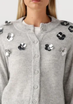 DANTE6 lichtgrijze vest fawn sequin cardigan lichtgrijs