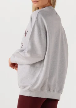 DEBLON SPORTS lichtgrijze sweater lilou sweater lichtgrijs Outlet